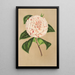 Reproduction of the painting Camellia Princess Clotilde - Charles Antoine Lemaire