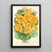 Capucine Tom Pouce - Charles Antoine Lemaire — framed artwork on a wall
