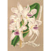 Cattleya amethystoglossa - Charles Antoine Lemaire — artwork view