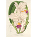 Cattleya quadricolor - Charles Antoine Lemaire — artwork view