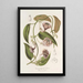 Ceropegia Gardneri Thwaites - Charles Antoine Lemaire — framed artwork on a wall