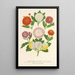 Chrysanthemums of autumn, dwarf varieties - Charles Antoine Lemaire — framed artwork on a wall