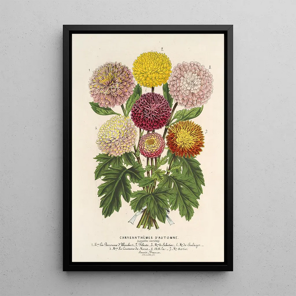 Reproduction of the painting Chrysanthemums dwarfs of autumn - Charles Antoine Lemaire