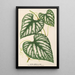 Cissus Lindeni - Charles Antoine Lemaire — framed artwork on a wall