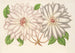 Clematis patens - Charles Antoine Lemaire — artwork view
