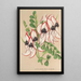 Clianthus Dampieri with white flowers and red border - Charles Antoine Lemaire — framed artwork on a wall