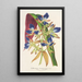 Cochliostenia odoratissimum - Charles Antoine Lemaire — framed artwork on a wall