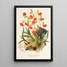 Reproduction of the painting Comparettia coccinea - Charles Antoine Lemaire