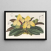Cypripedium concolor - Charles Antoine Lemaire — framed artwork on a wall