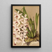 Reproduction of the painting Epidendrum conspicuum - Charles Antoine Lemaire