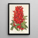 Reproduction of the painting Erythrina hybrida Marie Bellanger - Charles Antoine Lemaire