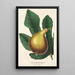 Reproduction of the painting Fig Tree of Château Kennedy - Charles Antoine Lemaire