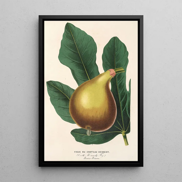 Reproduction of the painting Fig Tree of Château Kennedy - Charles Antoine Lemaire