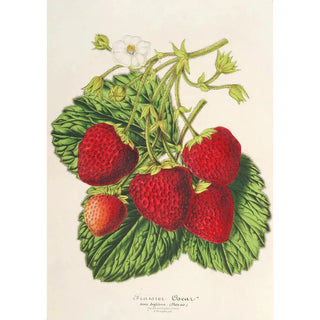 Fruit Basket Painting Oscar - Charles Antoine Lemaire — artwork view