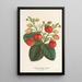 Strawberry perpetual table Ananas - Charles Antoine Lemaire — framed artwork on a wall