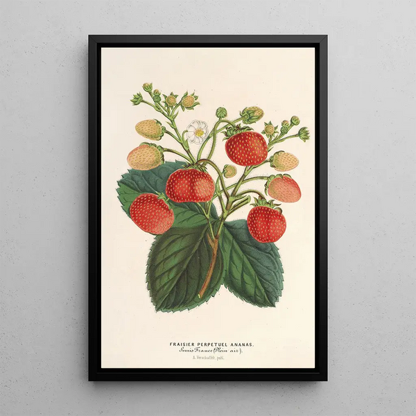 Strawberry perpetual table Ananas - Charles Antoine Lemaire — framed artwork on a wall