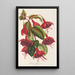 Fuchsia Solferino - Charles Antoine Lemaire — framed artwork on a wall