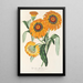Gazania splendens hybride - Charles Antoine Lemaire — framed artwork on a wall