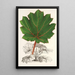 Reproduction of the painting Gunnera brephogea - Charles Antoine Lemaire