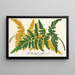 Gymnogramma Laucheana var gigantea - Charles Antoine Lemaire — framed artwork on a wall