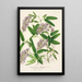 Hardenbergia Makoyana hybrida - Charles Antoine Lemaire — framed artwork on a wall
