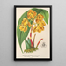 Houlletia chrysantha - Charles Antoine Lemaire — framed artwork on a wall