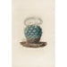 Reproduction of the painting Iconographie descriptive des cactées Pl02 - Charles Antoine Lemaire