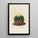 Iconographie descriptive des cactées Pl04 - Charles Antoine Lemaire — framed artwork on a wall