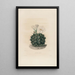 Iconographie descriptive des cactées Pl06 - Charles Antoine Lemaire — framed artwork on a wall