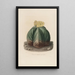 Reproduction of the painting Iconographie descriptive des cactées Pl07 - Charles Antoine Lemaire