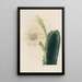Reproduction of the painting Iconographie descriptive des cactus Pl11 - Charles Antoine Lemaire