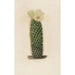 Reproduction of the painting Iconographie descriptive des cactus Pl13 - Charles Antoine Lemaire