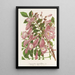 Jacaranda digitaliflora - Charles Antoine Lemaire — framed artwork on a wall