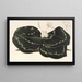 Kaempferia Koscoeana - Charles Antoine Lemaire — framed artwork on a wall