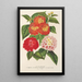Choice of lantanas - Charles Antoine Lemaire — framed artwork on a wall