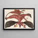 Ledenbergia roseonea - Charles Antoine Lemaire — framed artwork on a wall