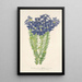 Leschenaultia biloba - Charles Antoine Lemaire — framed artwork on a wall