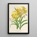 Reproduction of the painting Lilium Leichtlinii - Charles Antoine Lemaire