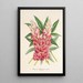 Reproduction of the painting Lupinus insignis hybridus - Charles Antoine Lemaire