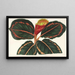 Maranta Roseo-Picta - Charles Antoine Lemaire — framed artwork on a wall