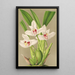 Reproduction of the painting Maxillaria grandiflora - Charles Antoine Lemaire