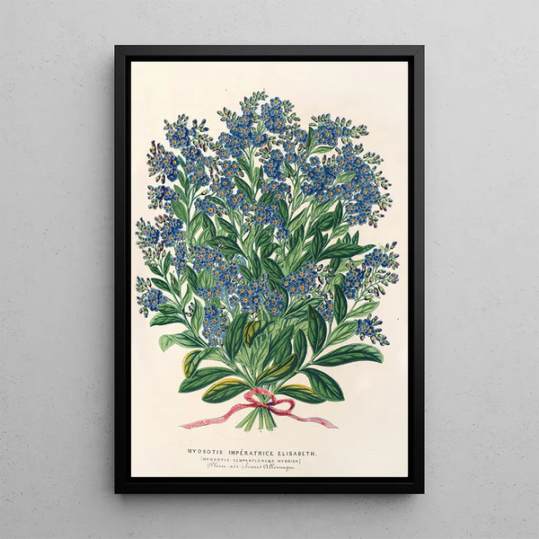 Reproduction of the painting Myosotis Empress Elisabeth semperflorens - Charles Antoine Lemaire