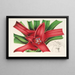 Nidularium Meyendorffii - Charles Antoine Lemaire — framed artwork on a wall