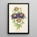 Reproduction of the painting Nigella hispanica varieties of the - Charles Antoine Lemaire
