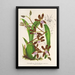 Reproduction of the painting Odontoglossum reichenheimii - Charles Antoine Lemaire