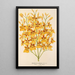 Oncidium aurosum - Charles Antoine Lemaire — framed artwork on a wall