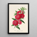 Reproduction of the painting Flowering Camellia Fish Painting - Charles Antoine Lemaire
