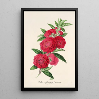 Reproduction of the painting Flowering Camellia Fish Painting - Charles Antoine Lemaire