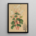Peperomia resediflora - Charles Antoine Lemaire — framed artwork on a wall