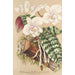 Phalaenopsis schilleriana - Charles Antoine Lemaire — artwork view